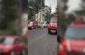 Beypazarı’nda fırtına ağaçları devirdi