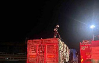 Bilecik’te seyir halinde talaş yüklü tır dorsesi alev aldı