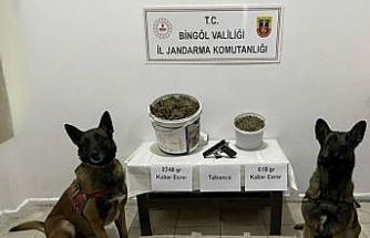 Bingöl’de uyuşturucu operasyonu: 3 gözaltı