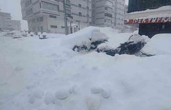 Bitlis’te kuvvetli kar, fırtına ve çığ tehlikesi uyarısı