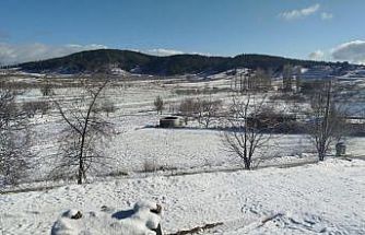 Buldan’da yılın ilk karı üreticileri sevindirdi