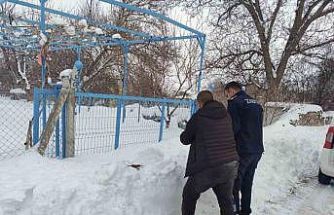 Bünyan’da sokak hayvanlarına mama desteği