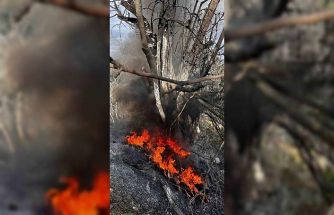 Bursa’da çıkan çalı yangını büyümeden söndürüldü