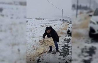 Çermik’te yaban hayvanları için doğaya yem bırakıldı