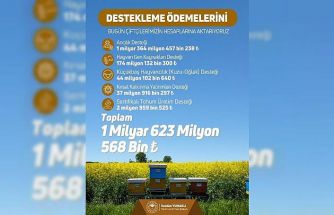 Çiftçilere 1 milyar 623 milyon lira tarımsal destek ödemesi yapıldı