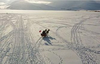 Çıldır Gölü’nde atlı kızak heyecanı başladı