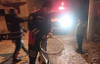 Cizre’de ayağı demir korkuluklara sıkışan kedi için itfaiye seferber oldu