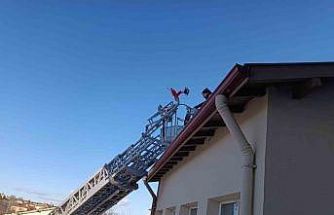 Çorum’da binanın çatısında mahsur kalan kediyi itfaiye ekibi kurtardı