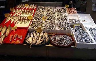 Denizdeki fırtına avını etkilese de balık fiyatlarını etkilemedi