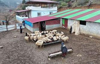 Depremzede besici devlet desteğiyle hayata tutundu