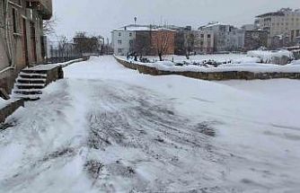 Dicle’de yoğun kar hayatı olumsuz etkiledi