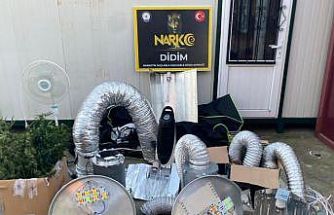 Didim’de uyuşturucu operasyonu: Kenevir yetiştirme kabini ele geçirildi