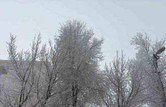 Diyadin’de yoğun sis etkili oldu