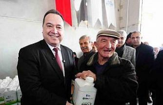 Don zararına karşı Manisa Büyükşehir’den üreticiye destek