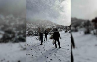 Dondurucu soğuklarda yaban hayata umut oldular