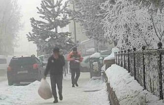 Dondurucu soğukların etkili olduğu Ardahan’da hayat durma noktasına geldi
