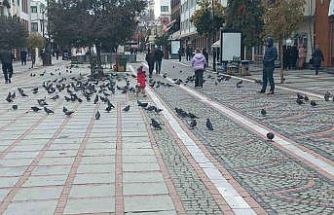 Edirne’de dondurucu soğuk: Edirneliler evde, Bulgarlar mağazalarda