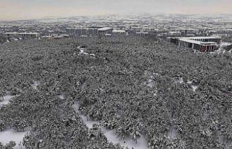Elazığ’da beton yığınlarının arasındaki beyaz vaha mest etti