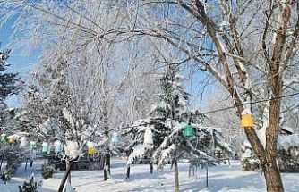 Elazığ’da dondurucu soğuklar: Karakoçan’da termometreler -22’yi gösterdi