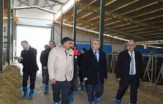 Elazığ’da hayvancılık altyapısı yerinde incelendi