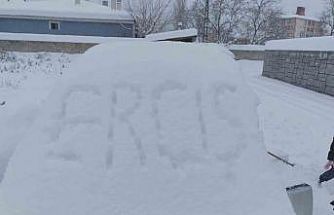 Erciş’te yoğun kar yağışı hayatı felç etti