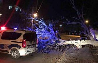 Ereğli’de şiddetli rüzgar ağaçları devirdi, çatıları uçurdu