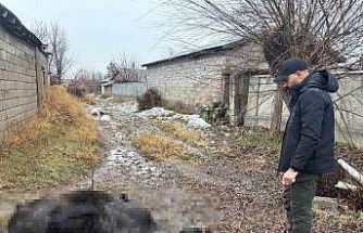 Erzincan’da at ve eşek silahla katledildi