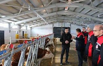 Erzincan’da hibe desteğiyle kurulan tesis üretime başladı