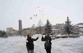 Erzurum’da kar yağışı etkili oluyor