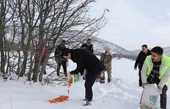 Genç’te yaban hayvanları için doğaya yem bırakıldı