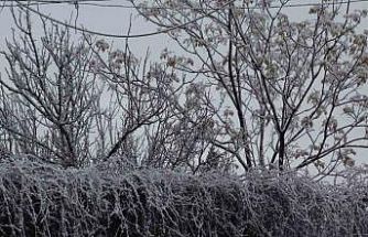 Gercüş beyaz örtüyle kaplandı