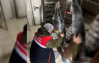 Gıda üretim ve satışı yapan işletmelerine yönelik denetim