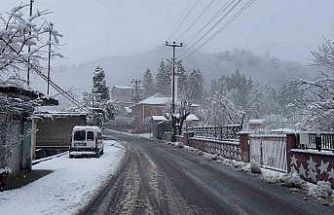 Giresun’da 7 ilçede eğitime kar engeli