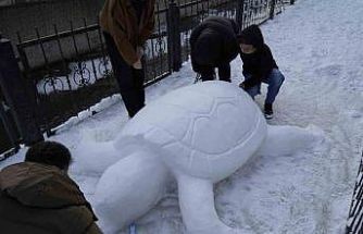 Gümüşhane’de "kardan kaplumbağa" ilgi odağı oldu