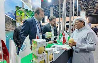 Gürsu armudu Cidde Turizm Fuarı’nda