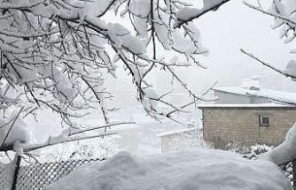 Hakkari‘de 353 yerleşim yeri kapandı
