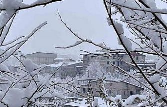 Hakkari’de 7 köy ve 18 mezra yolu için seferberlik
