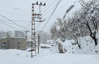 Hakkari’de 89 yerleşim yerinin yolu kapandı