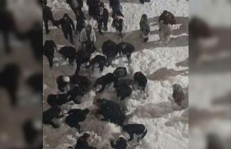 Hakkâri’de çatıdan düşen kar kütlesinin altında kalan öğrenci yaralandı