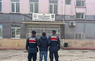 Hapis cezasıyla aranan şahsı jandarma yakaladı