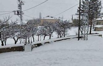 "Her şey devletten beklenmez" diyerek köy yollarını kendi imkanlarıyla temizlediler