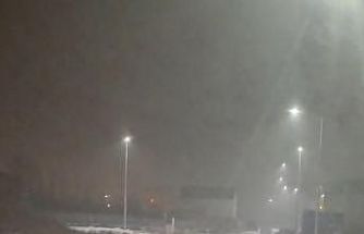 Iğdır’da kurtlar yerleşim yerlerine indi