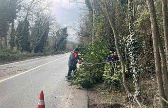 İstanbul için lodos uyarısı: Kuvvetli fırtına etkili olacak