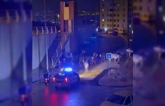 İzmir’de polisin "İnekler dağılın" anonsu gülümsetti