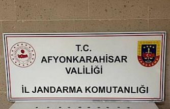 Jandarma 70 sikke ele geçirdi