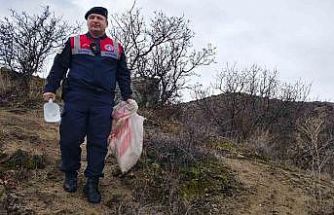 Jandarma ekipleri doğadaki canlıları unutmadı