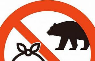 Japonya, turistleri ayılardan korumayı amaçlayan yeni uyarı işaretlerini tanıttı