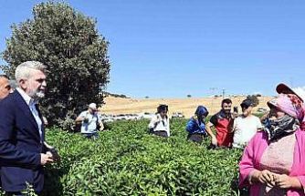 Kahramanmaraş Büyükşehir’den 2025’te çiftçiye 100 milyonluk destek