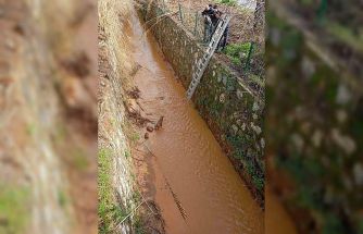 Kanala düşen köpeği itfaiye ekipleri kurtardı