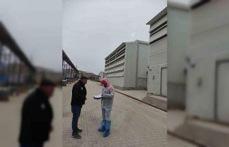 Kanatlı hayvan ve yumurta üretim tesislerinde denetim